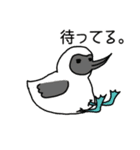 ゆるゆるいきものズ（個別スタンプ：17）