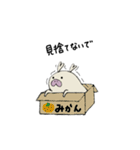 ぶたのぶひちゃん（個別スタンプ：37）