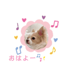 きなこ02スタンプ（個別スタンプ：2）