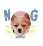 きなこ02スタンプ（個別スタンプ：5）