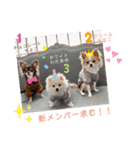 きなこ02スタンプ（個別スタンプ：13）