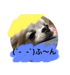 TIARAクンSTAMP①（個別スタンプ：2）