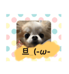 TIARAクンSTAMP①（個別スタンプ：3）