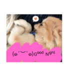 TIARAクンSTAMP①（個別スタンプ：4）