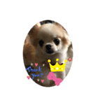 TIARAクンSTAMP①（個別スタンプ：6）