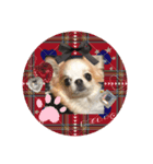 TIARAクンSTAMP①（個別スタンプ：7）