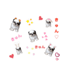 我が家のもじゃ 4（個別スタンプ：6）
