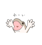 うちのこいちばん！（個別スタンプ：3）