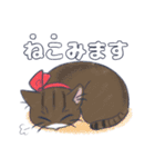 毛玉フレンズ！（個別スタンプ：1）