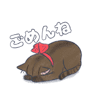 毛玉フレンズ！（個別スタンプ：3）