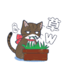 毛玉フレンズ！（個別スタンプ：6）