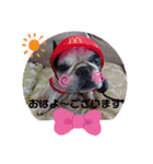 可愛いぶぶママファミリー♡（個別スタンプ：1）