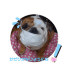 可愛いぶぶママファミリー♡（個別スタンプ：5）