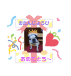 可愛いぶぶママファミリー♡（個別スタンプ：12）