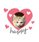 可愛い仔猫スタンプ（個別スタンプ：4）