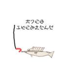 ふわふわうみのいきもの（個別スタンプ：16）