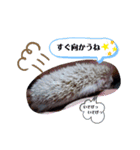 はりねずみのじぇったん♬（個別スタンプ：5）