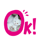 ツンデレホワイトスタンプ（個別スタンプ：3）