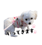 ココちゃんのスタンプです♪（個別スタンプ：3）