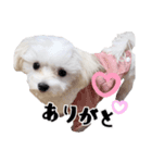 ココちゃんのスタンプです♪（個別スタンプ：4）