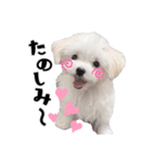 ココちゃんのスタンプです♪（個別スタンプ：5）