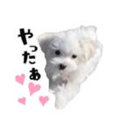 ココちゃんのスタンプです♪（個別スタンプ：10）
