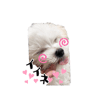ココちゃんのスタンプです♪（個別スタンプ：16）
