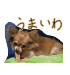 お犬様のぱる（個別スタンプ：11）