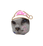 パグあんどねこず（個別スタンプ：6）