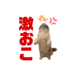 半純血のプリンスRONさん3（個別スタンプ：13）