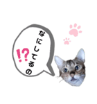 ひめちゃんの日常で使える言葉（個別スタンプ：1）