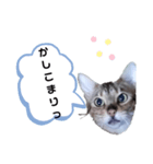 ひめちゃんの日常で使える言葉（個別スタンプ：4）