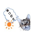 ひめちゃんの日常で使える言葉（個別スタンプ：9）