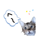 ひめちゃんの日常で使える言葉（個別スタンプ：15）