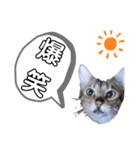 ひめちゃんの日常で使える言葉（個別スタンプ：18）
