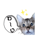 ひめちゃんの日常で使える言葉（個別スタンプ：23）