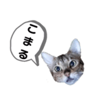 ひめちゃんの日常で使える言葉（個別スタンプ：24）