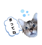 ひめちゃんの日常で使える言葉（個別スタンプ：25）