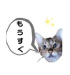 ひめちゃんの日常で使える言葉（個別スタンプ：26）