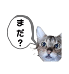 ひめちゃんの日常で使える言葉（個別スタンプ：27）