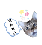ひめちゃんの日常で使える言葉（個別スタンプ：30）