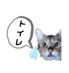 ひめちゃんの日常で使える言葉（個別スタンプ：34）