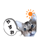 ひめちゃんの日常で使える言葉（個別スタンプ：38）