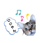 ひめちゃんの日常で使える言葉（個別スタンプ：39）
