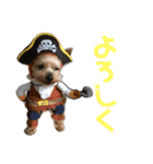 TOBI0422（個別スタンプ：8）