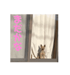 TOBI0422（個別スタンプ：14）