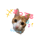 ちび子STAMP（個別スタンプ：3）