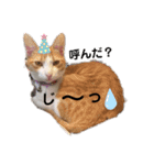 ちび子STAMP（個別スタンプ：6）