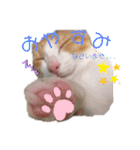 ちび子STAMP（個別スタンプ：7）