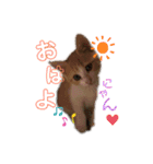ちび子STAMP（個別スタンプ：8）
